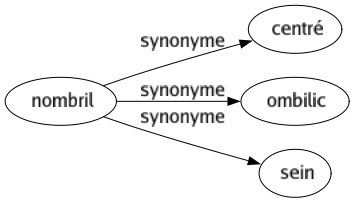 Synonyme de Nombril : Centré Ombilic Sein 