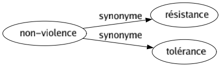 Synonyme de Non-violence : Résistance Tolérance 