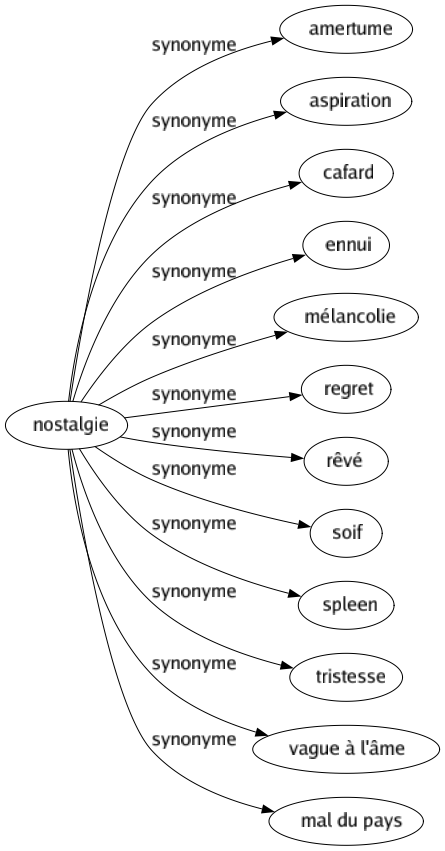 Synonyme de Nostalgie : Amertume Aspiration Cafard Ennui Mélancolie Regret Rêvé Soif Spleen Tristesse Vague à l'âme Mal du pays 