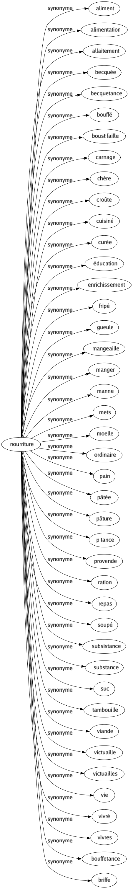 Synonyme de Nourriture : Aliment Alimentation Allaitement Becquée Becquetance Bouffé Boustifaille Carnage Chère Croûte Cuisiné Curée Éducation Enrichissement Fripé Gueule Mangeaille Manger Manne Mets Moelle Ordinaire Pain Pâtée Pâture Pitance Provende Ration Repas Soupé Subsistance Substance Suc Tambouille Viande Victuaille Victuailles Vie Vivré Vivres Bouffetance Briffe 