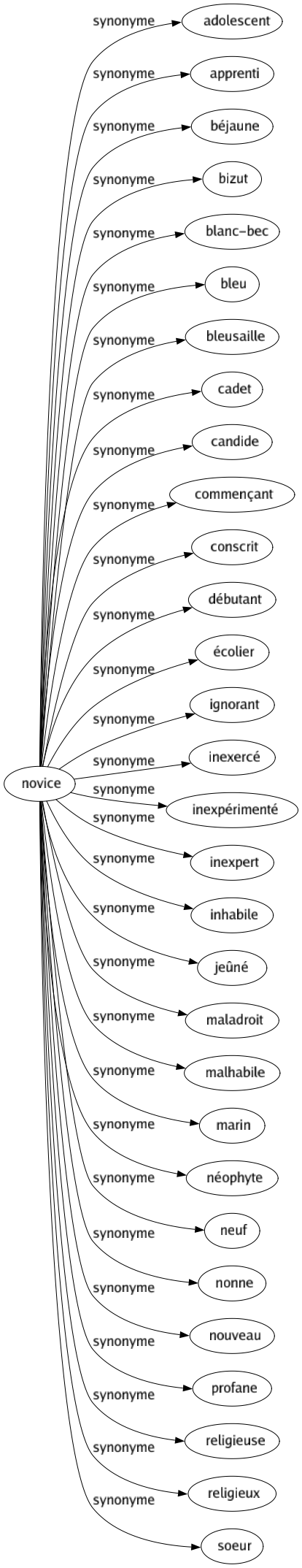 Synonyme de Novice : Adolescent Apprenti Béjaune Bizut Blanc-bec Bleu Bleusaille Cadet Candide Commençant Conscrit Débutant Écolier Ignorant Inexercé Inexpérimenté Inexpert Inhabile Jeûné Maladroit Malhabile Marin Néophyte Neuf Nonne Nouveau Profane Religieuse Religieux Soeur 