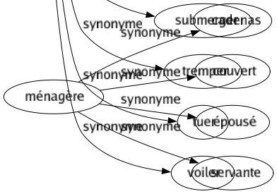 Synonyme de Noyer : Arroser Asphyxier Baigner Brun Cacher Déborder Délayer Diluer Engloutir Enrober Ensevelir Étouffer Immerger Inonder Masquer Nuancer Occulter Oublier Plonger Réprimer Submerger Tremper Tuer Voiler 