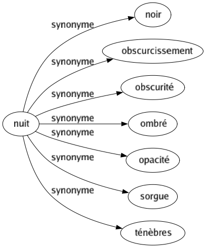 Synonyme de Nuit : Noir Obscurcissement Obscurité Ombré Opacité Sorgue Ténèbres 