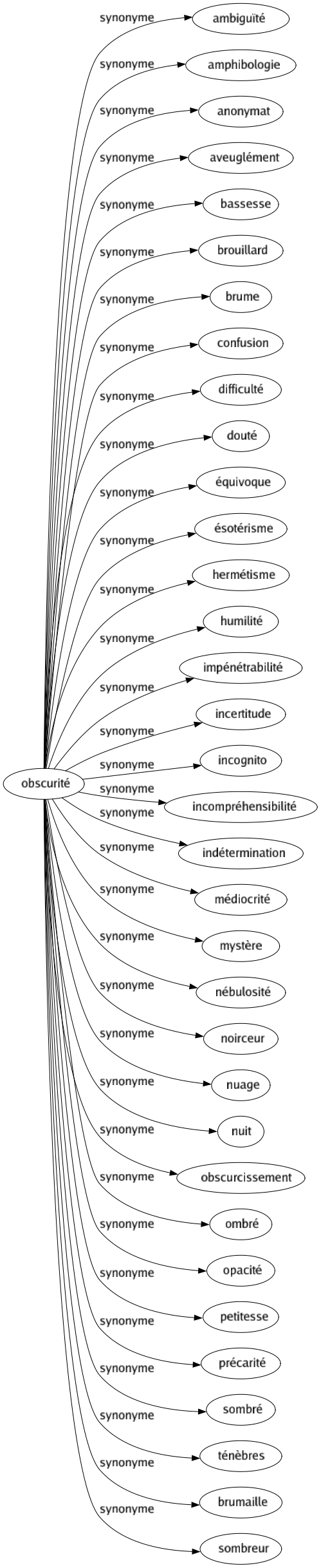 Synonyme de Obscurité : Ambiguïté Amphibologie Anonymat Aveuglément Bassesse Brouillard Brume Confusion Difficulté Douté Équivoque Ésotérisme Hermétisme Humilité Impénétrabilité Incertitude Incognito Incompréhensibilité Indétermination Médiocrité Mystère Nébulosité Noirceur Nuage Nuit Obscurcissement Ombré Opacité Petitesse Précarité Sombré Ténèbres Brumaille Sombreur 