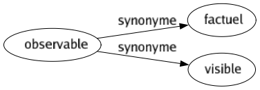 Synonyme de Observable : Factuel Visible 