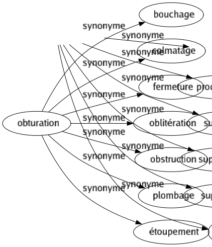 Synonyme de Obturation : Bouchage Colmatage Fermeture Oblitération Obstruction Plombage Étoupement 