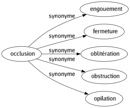 Synonyme de Occlusion : Engouement Fermeture Oblitération Obstruction Opilation 