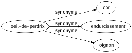Synonyme de Oeil-de-perdrix : Cor Endurcissement Oignon 