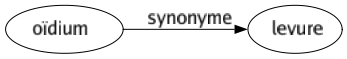 Synonyme de Oïdium : Levure 