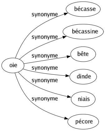 Synonyme de Oie : Bécasse Bécassine Bête Dinde Niais Pécore 