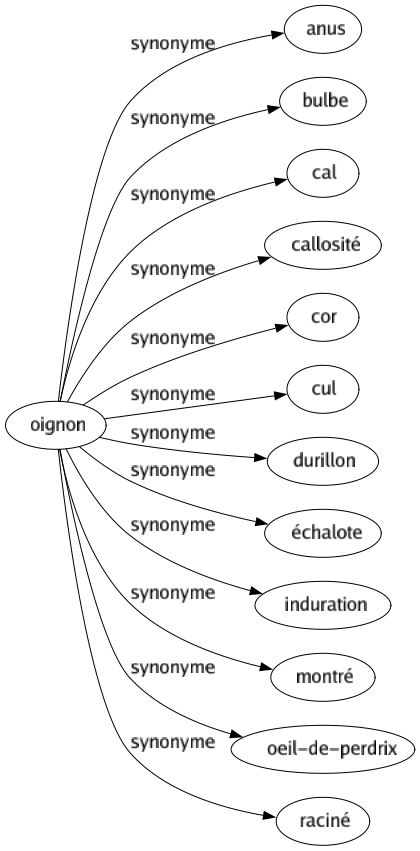 Synonyme de Oignon : Anus Bulbe Cal Callosité Cor Cul Durillon Échalote Induration Montré Oeil-de-perdrix Raciné 
