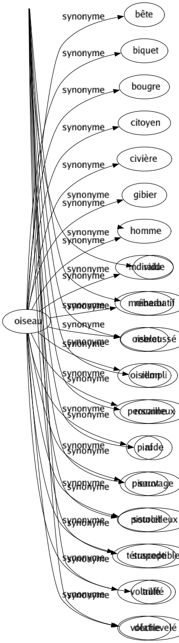 Synonyme de Oiseau : Bête Biquet Bougre Citoyen Civière Gibier Homme Individu Moineau Oiselet Oisillon Personne Piaf Pierrot Pistolet Tétrapode Volaille Volatile 