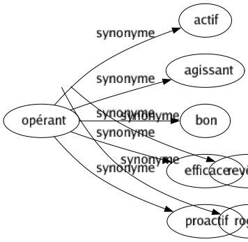 Synonyme de Opérant : Actif Agissant Bon Efficace Proactif 