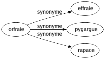 Synonyme de Orfraie : Effraie Pygargue Rapace 