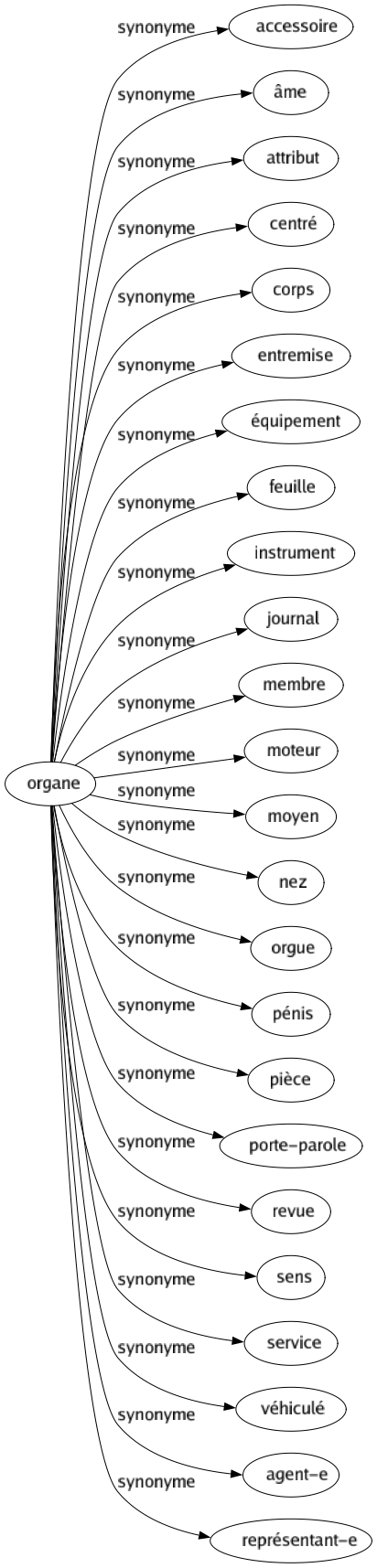 Synonyme de Organe : Accessoire Âme Attribut Centré Corps Entremise Équipement Feuille Instrument Journal Membre Moteur Moyen Nez Orgue Pénis Pièce Porte-parole Revue Sens Service Véhiculé Agent-e Représentant-e 