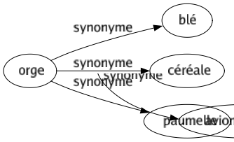 Synonyme de Orge : Blé Céréale Paumelle 