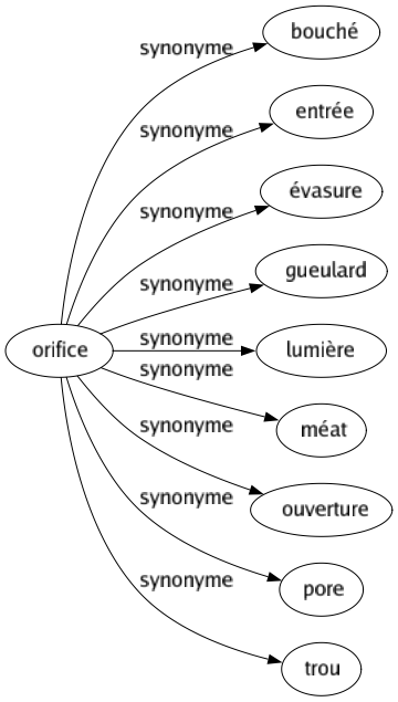 Synonyme de Orifice : Bouché Entrée Évasure Gueulard Lumière Méat Ouverture Pore Trou 