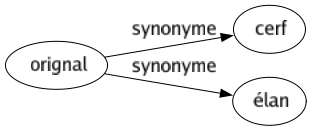 Synonyme de Orignal : Cerf Élan 