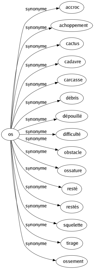 Synonyme de Os : Accroc Achoppement Cactus Cadavre Carcasse Débris Dépouillé Difficulté Obstacle Ossature Resté Restés Squelette Tirage Ossement 