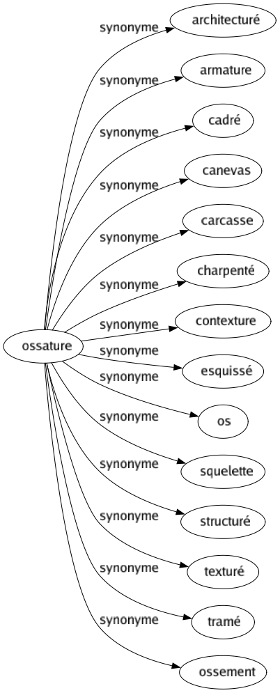 Synonyme de Ossature : Architecturé Armature Cadré Canevas Carcasse Charpenté Contexture Esquissé Os Squelette Structuré Texturé Tramé Ossement 