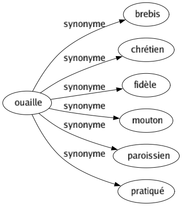 Synonyme de Ouaille : Brebis Chrétien Fidèle Mouton Paroissien Pratiqué 
