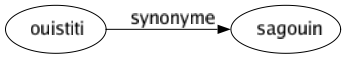 Synonyme de Ouistiti : Sagouin 