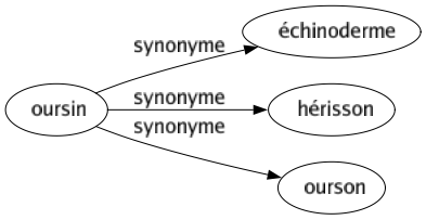Synonyme de Oursin : Échinoderme Hérisson Ourson 