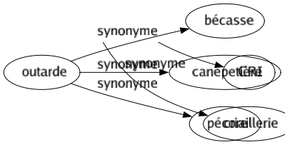 Synonyme de Outarde : Bécasse Canepetière Pécore 