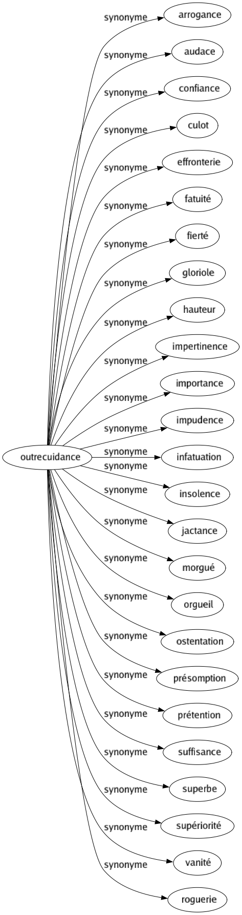 Synonyme de Outrecuidance : Arrogance Audace Confiance Culot Effronterie Fatuité Fierté Gloriole Hauteur Impertinence Importance Impudence Infatuation Insolence Jactance Morgué Orgueil Ostentation Présomption Prétention Suffisance Superbe Supériorité Vanité Roguerie 
