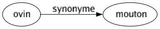 Synonyme de Ovin : Mouton 