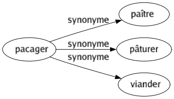 Synonyme de Pacager : Paître Pâturer Viander 