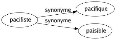 Synonyme de Pacifiste : Pacifique Paisible 