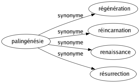Synonyme de Palingénésie : Régénération Réincarnation Renaissance Résurrection 