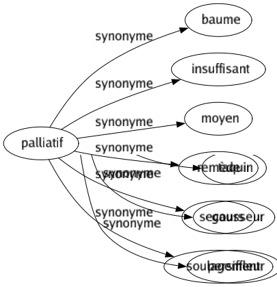 Synonyme de Palliatif : Baume Insuffisant Moyen Remède Secours Soulagement 