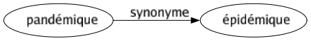 Synonyme de Pandémique : Épidémique 