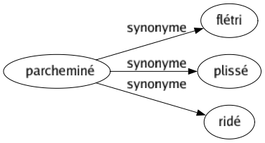 Synonyme de Parcheminé : Flétri Plissé Ridé 