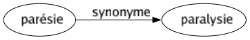 Synonyme de Parésie : Paralysie 