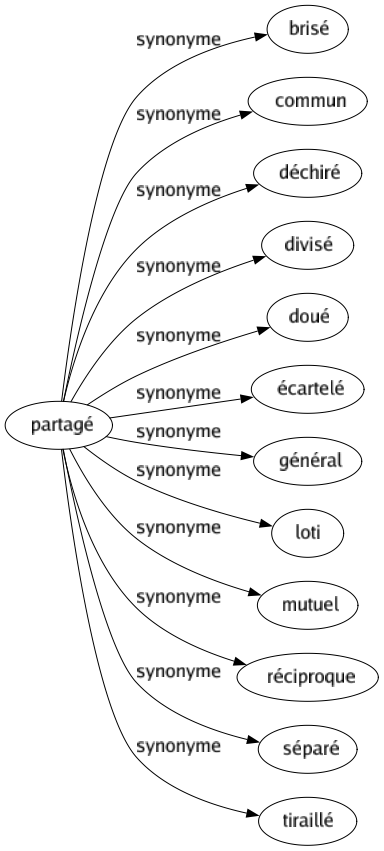 Synonyme de Partagé : Brisé Commun Déchiré Divisé Doué Écartelé Général Loti Mutuel Réciproque Séparé Tiraillé 