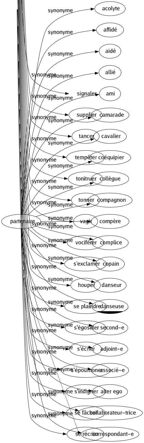 Synonyme de Partenaire : Acolyte Affidé Aidé Allié Ami Camarade Cavalier Coéquipier Collègue Compagnon Compère Complice Copain Danseur Danseuse Second-e Adjoint-e Associé-e Alter ego Collaborateur-trice Correspondant-e 
