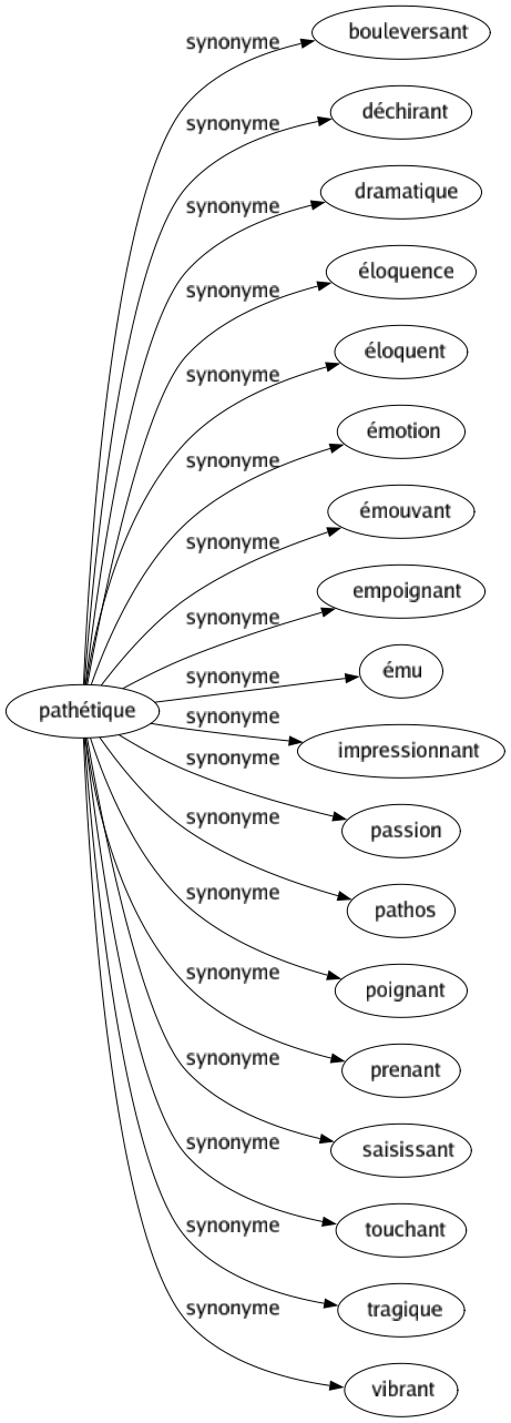Synonyme de Pathétique : Bouleversant Déchirant Dramatique Éloquence Éloquent Émotion Émouvant Empoignant Ému Impressionnant Passion Pathos Poignant Prenant Saisissant Touchant Tragique Vibrant 