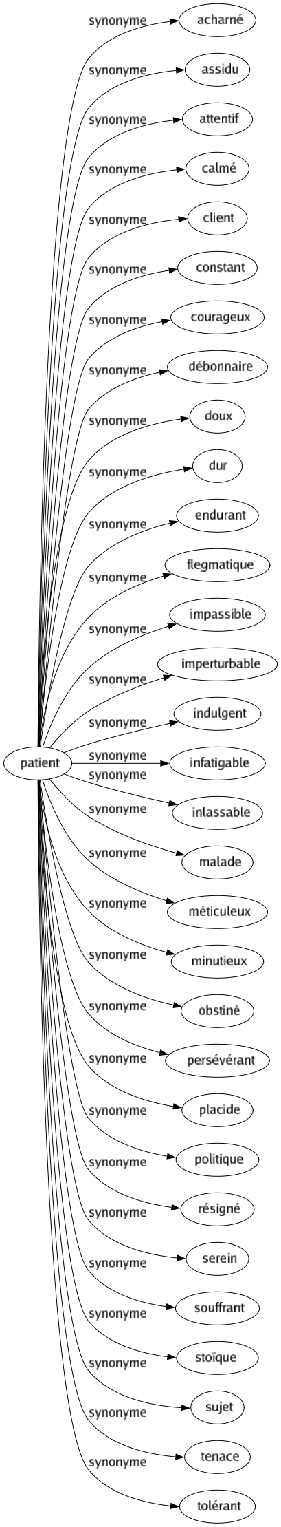 Synonyme de Patient : Acharné Assidu Attentif Calmé Client Constant Courageux Débonnaire Doux Dur Endurant Flegmatique Impassible Imperturbable Indulgent Infatigable Inlassable Malade Méticuleux Minutieux Obstiné Persévérant Placide Politique Résigné Serein Souffrant Stoïque Sujet Tenace Tolérant 