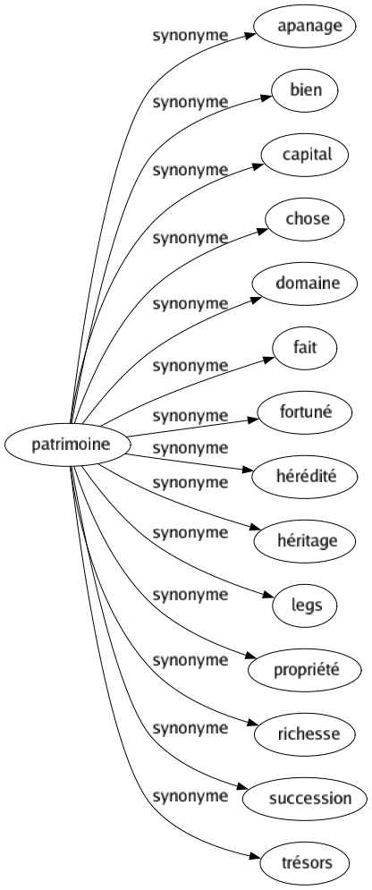 Synonyme de Patrimoine : Apanage Bien Capital Chose Domaine Fait Fortuné Hérédité Héritage Legs Propriété Richesse Succession Trésors 