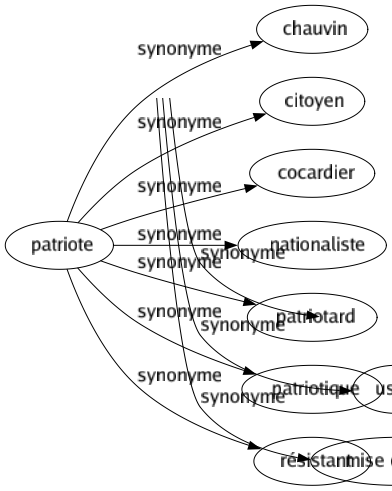 Synonyme de Patriote : Chauvin Citoyen Cocardier Nationaliste Patriotard Patriotique Résistant 