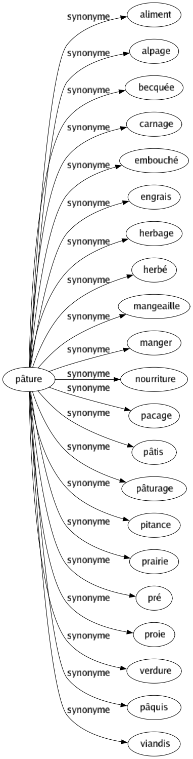 Synonyme de Pâture : Aliment Alpage Becquée Carnage Embouché Engrais Herbage Herbé Mangeaille Manger Nourriture Pacage Pâtis Pâturage Pitance Prairie Pré Proie Verdure Pâquis Viandis 