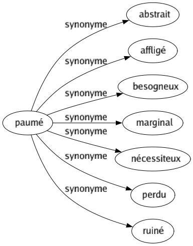 Synonyme de Paumé : Abstrait Affligé Besogneux Marginal Nécessiteux Perdu Ruiné 