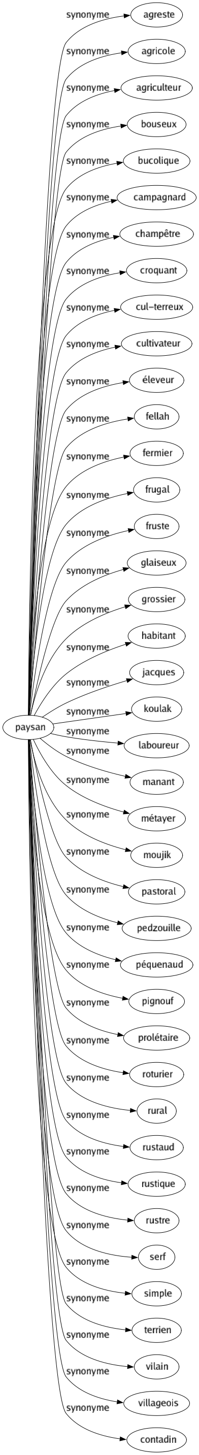 Synonyme de Paysan : Agreste Agricole Agriculteur Bouseux Bucolique Campagnard Champêtre Croquant Cul-terreux Cultivateur Éleveur Fellah Fermier Frugal Fruste Glaiseux Grossier Habitant Jacques Koulak Laboureur Manant Métayer Moujik Pastoral Pedzouille Péquenaud Pignouf Prolétaire Roturier Rural Rustaud Rustique Rustre Serf Simple Terrien Vilain Villageois Contadin 