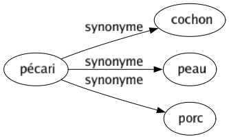 Synonyme de Pécari : Cochon Peau Porc 