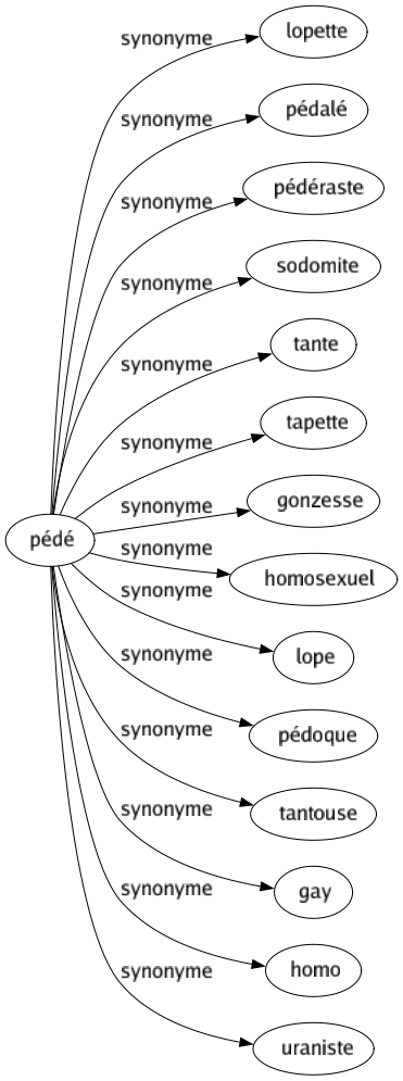 Synonyme de Pédé : Lopette Pédalé Pédéraste Sodomite Tante Tapette Gonzesse Homosexuel Lope Pédoque Tantouse Gay Homo Uraniste 
