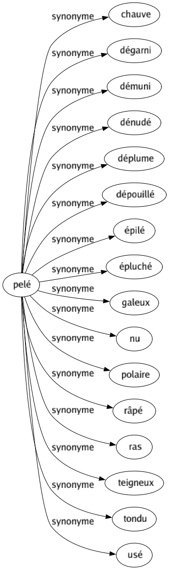 Synonyme de Pelé : Chauve Dégarni Démuni Dénudé Déplume Dépouillé Épilé Épluché Galeux Nu Polaire Râpé Ras Teigneux Tondu Usé 