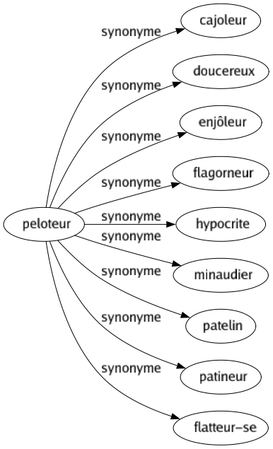 Synonyme de Peloteur : Cajoleur Doucereux Enjôleur Flagorneur Hypocrite Minaudier Patelin Patineur Flatteur-se 